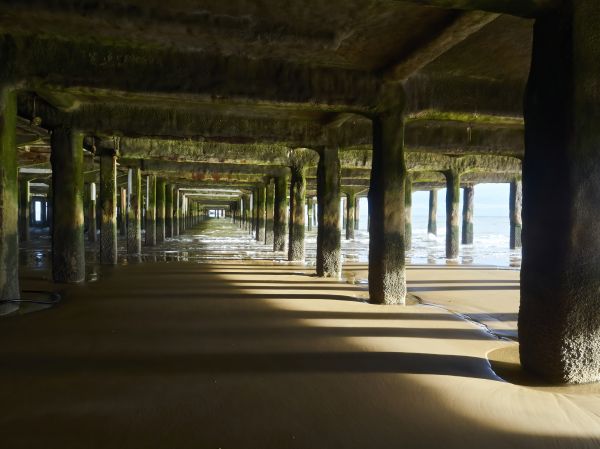 Cost of Pier And Beam Leveling in Pleasanton